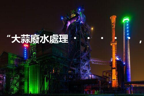 “大蒜廢水處理，綠色環(huán)保新篇章”